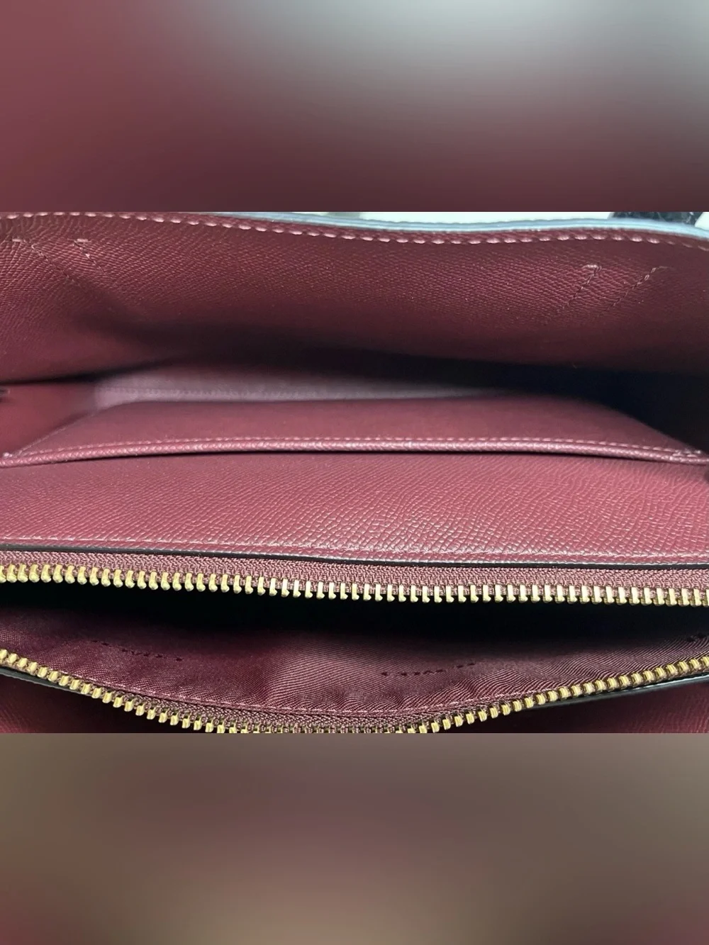 Coach Carter Carryall bag (Medium size)